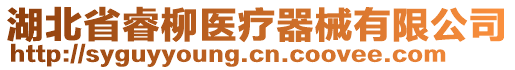 湖北省睿柳醫(yī)療器械有限公司