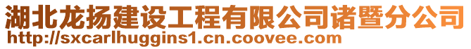 湖北龍揚建設(shè)工程有限公司諸暨分公司