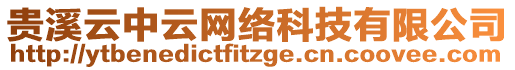 貴溪云中云網(wǎng)絡(luò)科技有限公司