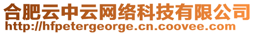 合肥云中云網(wǎng)絡(luò)科技有限公司