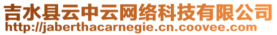 吉水縣云中云網(wǎng)絡(luò)科技有限公司