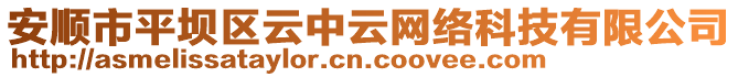 安順市平壩區(qū)云中云網(wǎng)絡(luò)科技有限公司