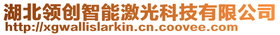 湖北領(lǐng)創(chuàng)智能激光科技有限公司