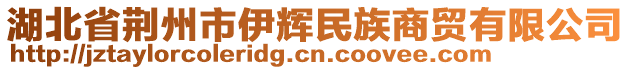 湖北省荊州市伊輝民族商貿(mào)有限公司