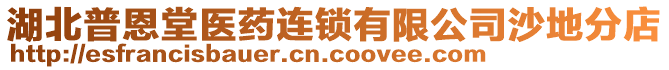 湖北普恩堂醫(yī)藥連鎖有限公司沙地分店