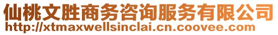 仙桃文勝商務咨詢服務有限公司