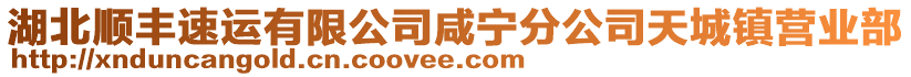 湖北順豐速運(yùn)有限公司咸寧分公司天城鎮(zhèn)營(yíng)業(yè)部