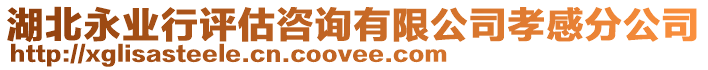 湖北永業(yè)行評(píng)估咨詢有限公司孝感分公司