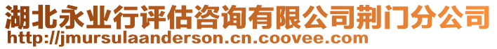 湖北永業(yè)行評估咨詢有限公司荊門分公司