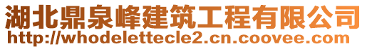 湖北鼎泉峰建筑工程有限公司