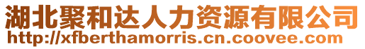 湖北聚和達人力資源有限公司