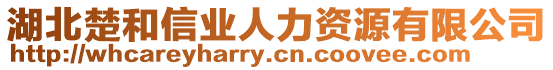 湖北楚和信業(yè)人力資源有限公司