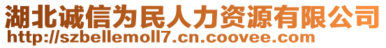 湖北誠(chéng)信為民人力資源有限公司