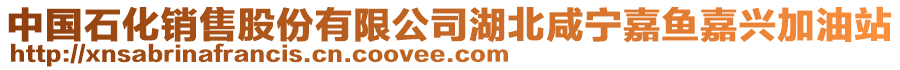 中國石化銷售股份有限公司湖北咸寧嘉魚嘉興加油站