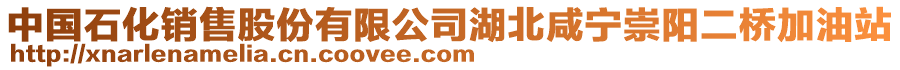 中國(guó)石化銷售股份有限公司湖北咸寧崇陽二橋加油站