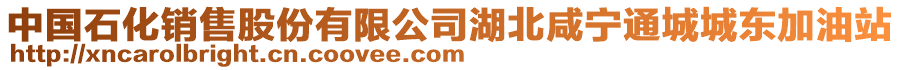 中国石化销售股份有限公司湖北咸宁通城城东加油站