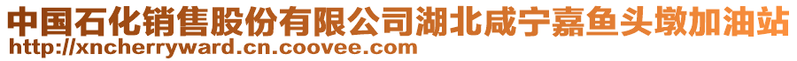 中國(guó)石化銷售股份有限公司湖北咸寧嘉魚頭墩加油站