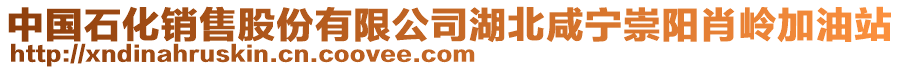 中国石化销售股份有限公司湖北咸宁崇阳肖岭加油站