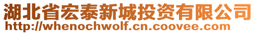 湖北省宏泰新城投資有限公司