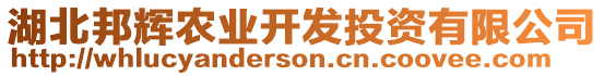 湖北邦輝農(nóng)業(yè)開(kāi)發(fā)投資有限公司