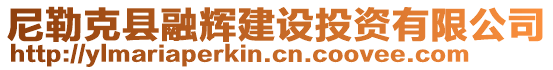 尼勒克縣融輝建設(shè)投資有限公司