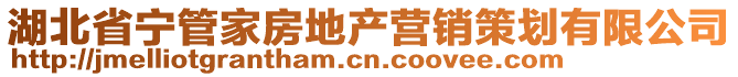 湖北省寧管家房地產(chǎn)營銷策劃有限公司