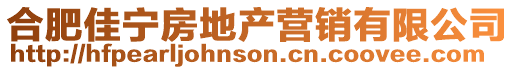 合肥佳寧房地產(chǎn)營銷有限公司