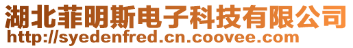 湖北菲明斯電子科技有限公司