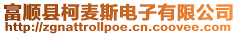 富順縣柯麥斯電子有限公司