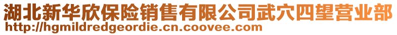 湖北新華欣保險(xiǎn)銷(xiāo)售有限公司武穴四望營(yíng)業(yè)部