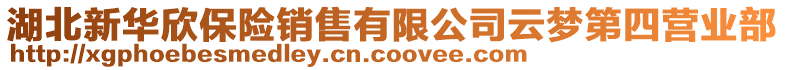 湖北新華欣保險(xiǎn)銷售有限公司云夢(mèng)第四營(yíng)業(yè)部