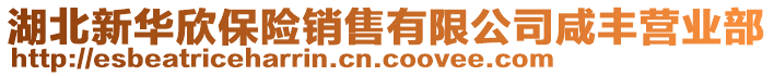 湖北新華欣保險(xiǎn)銷(xiāo)售有限公司咸豐營(yíng)業(yè)部