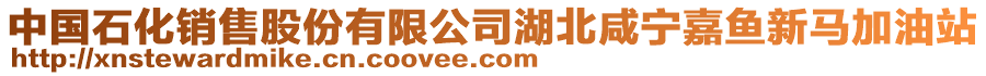 中國(guó)石化銷(xiāo)售股份有限公司湖北咸寧嘉魚(yú)新馬加油站