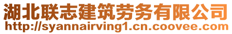 湖北聯(lián)志建筑勞務有限公司