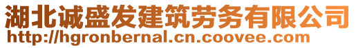 湖北诚盛发建筑劳务有限公司