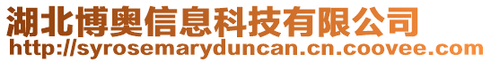 湖北博奧信息科技有限公司