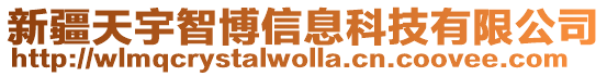 新疆天宇智博信息科技有限公司