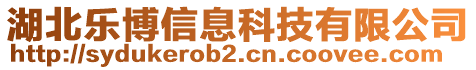 湖北樂博信息科技有限公司