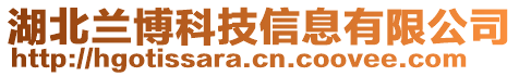 湖北蘭博科技信息有限公司