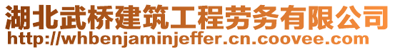 湖北武橋建筑工程勞務(wù)有限公司