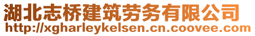 湖北志橋建筑勞務有限公司