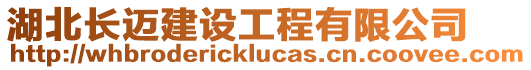 湖北長邁建設(shè)工程有限公司