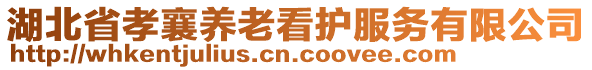 湖北省孝襄養(yǎng)老看護(hù)服務(wù)有限公司