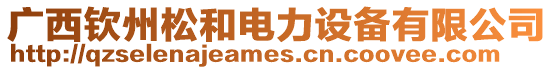 廣西欽州松和電力設備有限公司