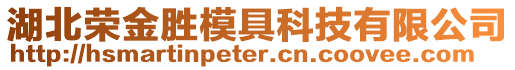 湖北榮金勝模具科技有限公司