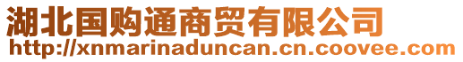 湖北國(guó)購(gòu)?fù)ㄉ藤Q(mào)有限公司