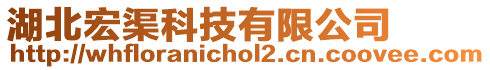 湖北宏渠科技有限公司