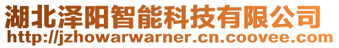 湖北澤陽智能科技有限公司