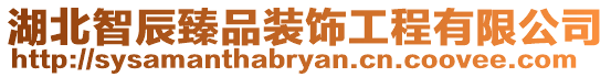 湖北智辰臻品裝飾工程有限公司