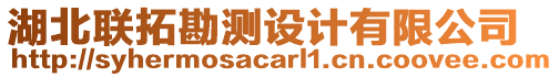 湖北聯(lián)拓勘測(cè)設(shè)計(jì)有限公司